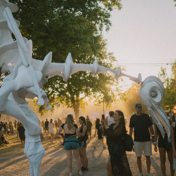 Sziget