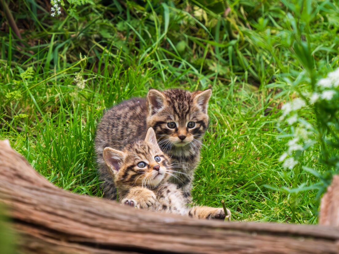 Illusztráció: Shutterstock