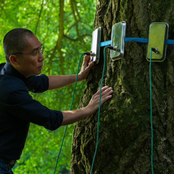 Mozinet - Szilágyi Lenke