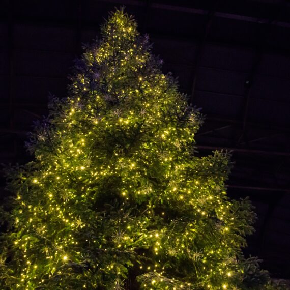 Illusztráció: Shutterstock