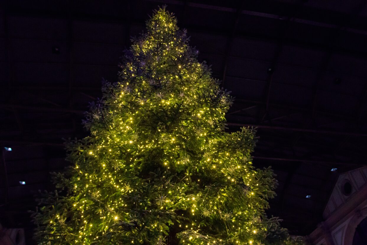 Illusztráció: Shutterstock