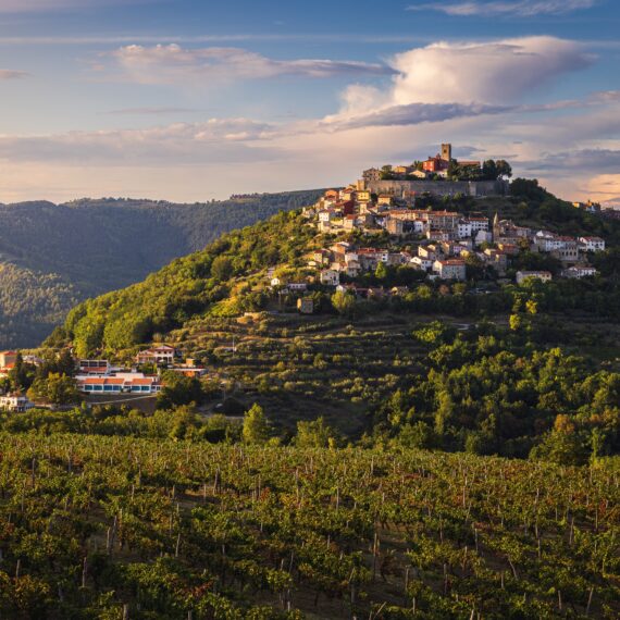 Shutterstock