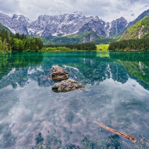Shutterstock