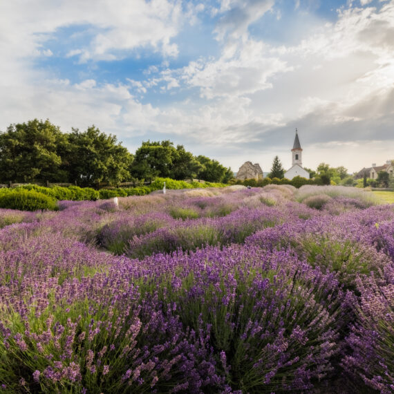 Visit Hungary